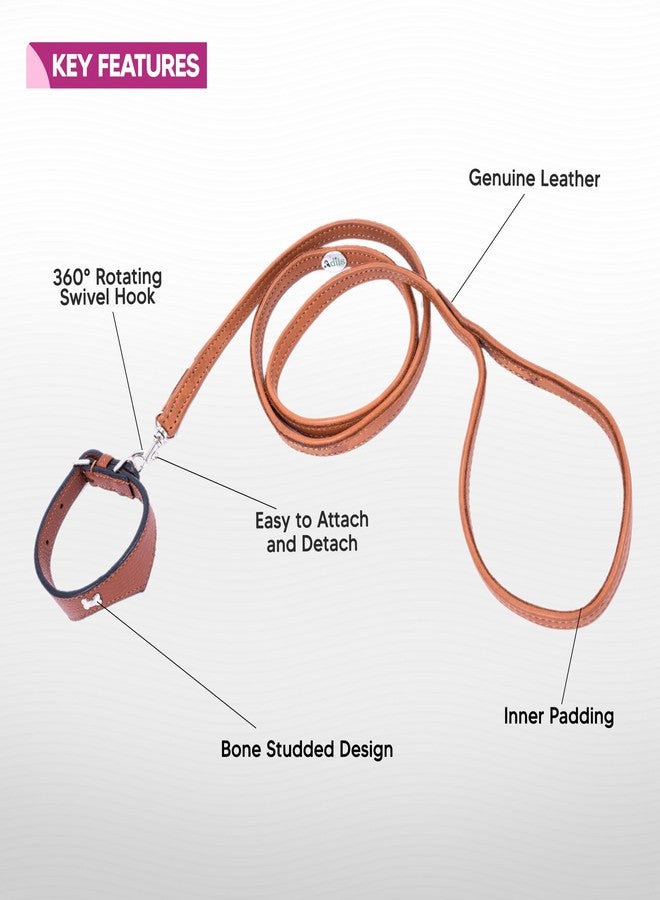 ADIL'S Adil’S Leather Cat Collar & Leash Set Combo - Stylish Single Bone Studded Design Collar, Genuine Leather, Adjustable Buckle & Secure 5ft Leash for Outdoor Activity (Cognac) - Image 2